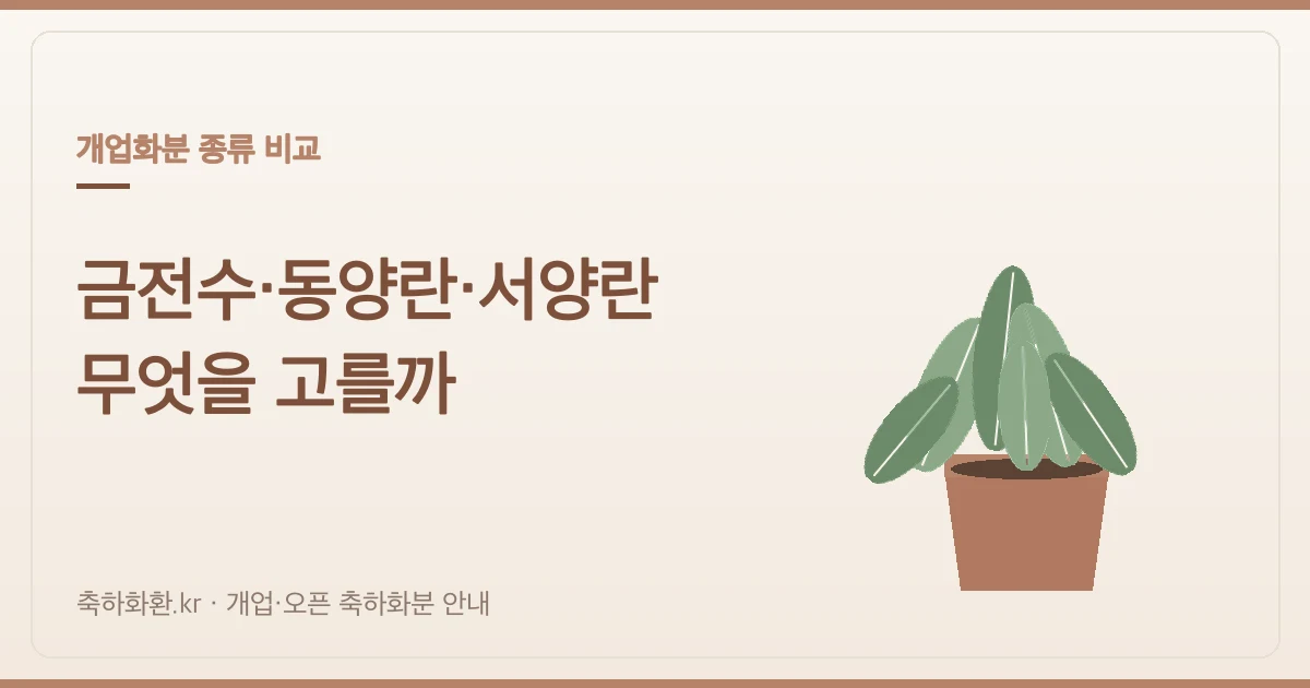 개업화분 금전수·동양란·서양란 비교 — 세 가지 대표 화분 고르는 기준