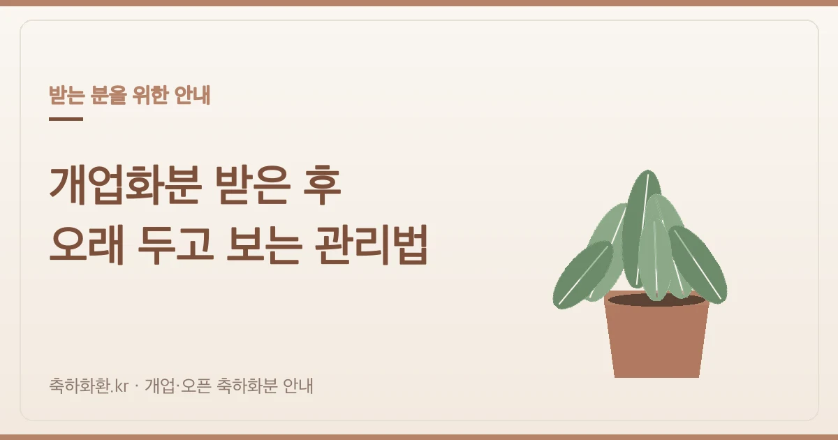 개업화분 받은 후 관리법 — 물주기·분갈이·자리 잡기